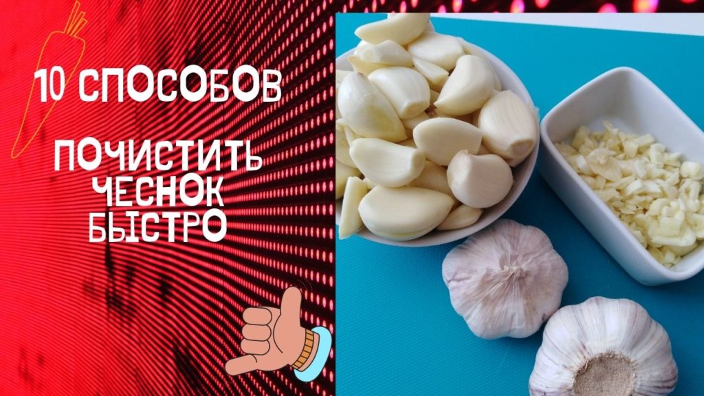 как сделать этикетка корма для животных сколько стоит
