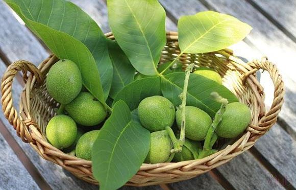 Зеленые грецкие орехи