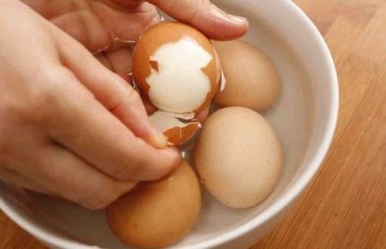 Очистка яиц после варки.