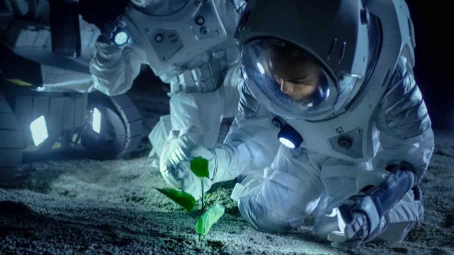 Космонавт и микрозелень