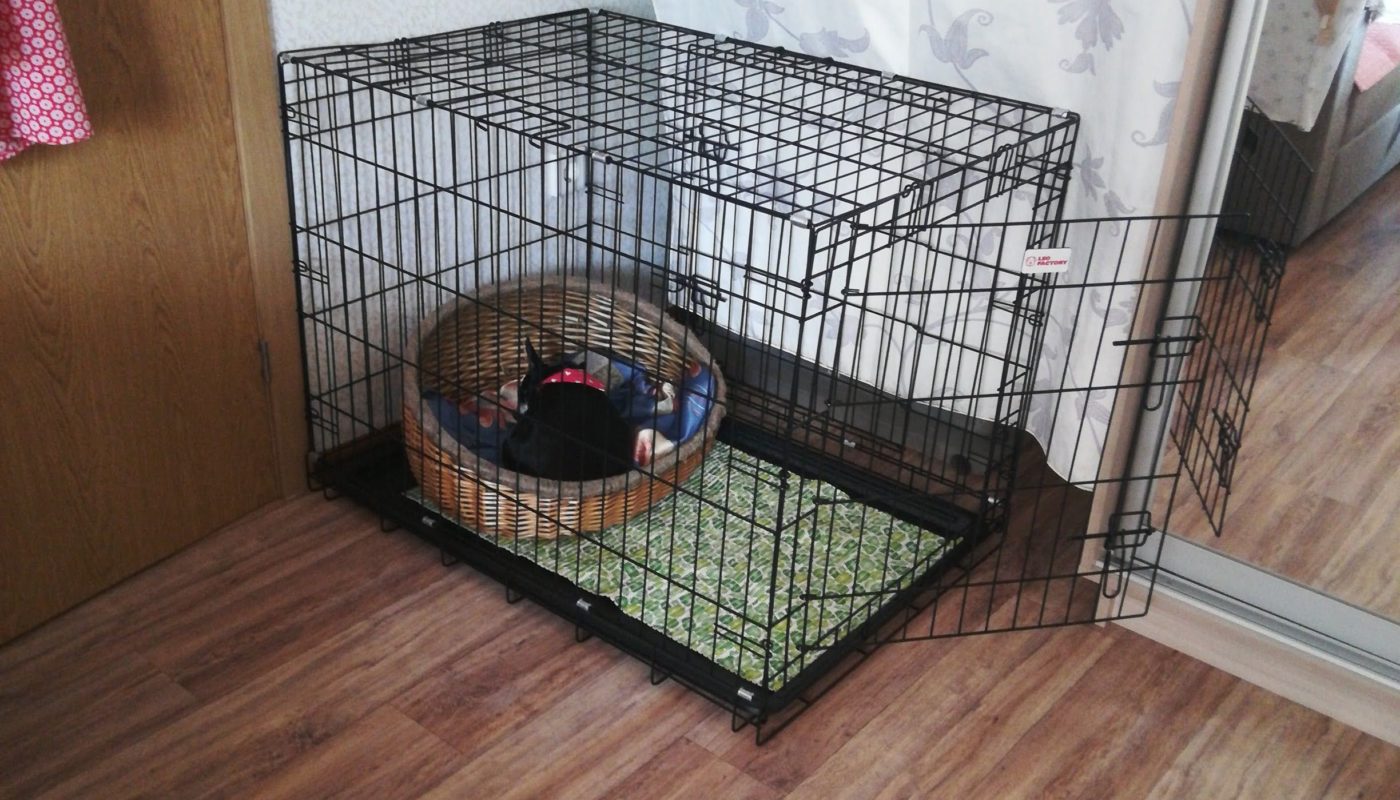 Домашняя клетка для собак в благоустроенную квартиру купленная на Вайлдберриз. Распаковка, честный отзыв